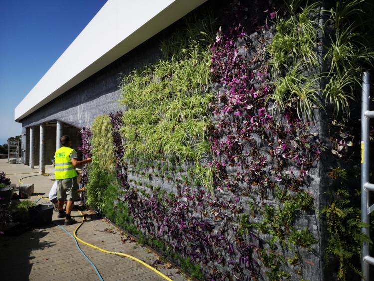 Un operario trabajando en un jardín vertical